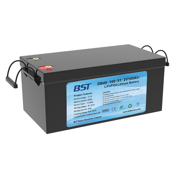 DB48 100 Deep Cycle Battery